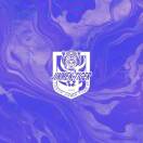 奏耐蓝白球衣 的头像