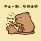 行走的彩虹