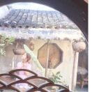 企鹅说北极很冷ི