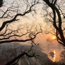 对方正在输入...