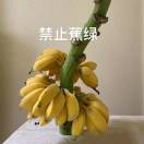 每天要喝八杯水