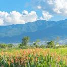 北纬以南的头像-传承国学正统持焰学堂