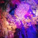 元18929883441的头像-宋播播带货工作室