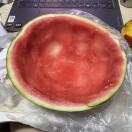 用户58732531的头像-拟人圈
