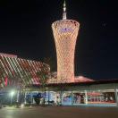 黄铜根