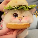 周小睿