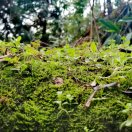 何锦湘的个人空间