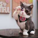 。。的头像-博士钣金 - www.bsbanjin.com