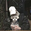徐先生