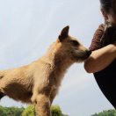 劉曉玲