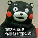 会飞的鱼 