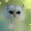 smile★^_^)英