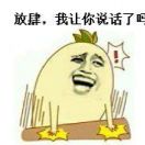朱爱宝