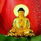 妙音赞大乘妙法莲华经