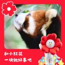 杨颂泽
