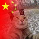 ¹⁹₉₇孟的头像-辰星笔记