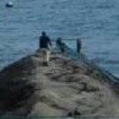 用户23767076的头像-外科技术网