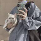 望京