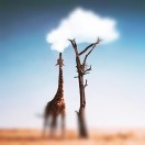 域鑒w-講故事總會聽的店鋪