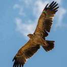 墨智影坊