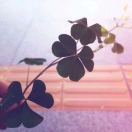 仲菇凉爱拾家💍