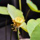 陈志涛的头像-博士钣金 - www.bsbanjin.com