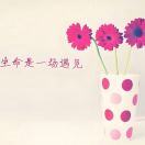 Winnie_L