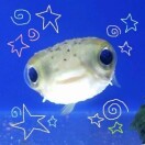 user_dsabe7qkm9wlajnk96777 member profile picture