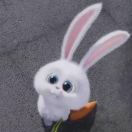 用户58703769的头像-熵减岛