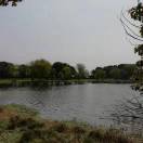 消逝de风的头像-一起DIY吧