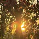 weixin_****Ps0BJI...