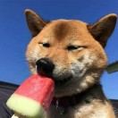 ℒℴѵℯ的头像-音创社AI SonoCraft丨科技改变未来