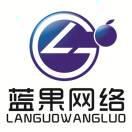 蓝果科技-济南壹软网络科技
