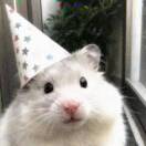 许狂歌的头像-YU198-音频制作办公资源分享