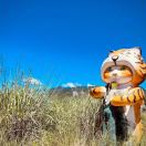 wᶠ🐯ʸᶜ