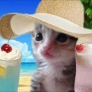 小鑫的头像-虎哥说创业