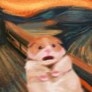 popuer的头像-日本！日本语