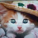 大風(fēng)策劃