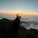 A 几何造型的头像-风行者社区