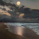 北纬三十五度六的头像 老秦