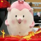 刘志炫东北农业