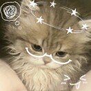 user_e5l4lzxqddkr0f1j member profile picture