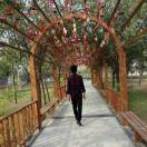 ★さ佳←洳ん＆