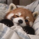 user_qlwb5xy78dz8y26w member profile picture