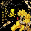 杨先生的头像