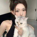 憨憨音的头像-知创网