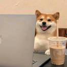 何。专业带团队