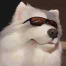 user icon