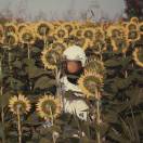 5576497679hm的头像-棉花糖会员站