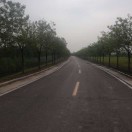 魏建军